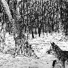 A Fox in the Forest: Pen illustration

Found under: Illustration (traditional)